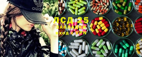 стаф Алексин