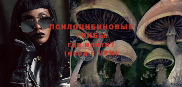 стаф Алексин