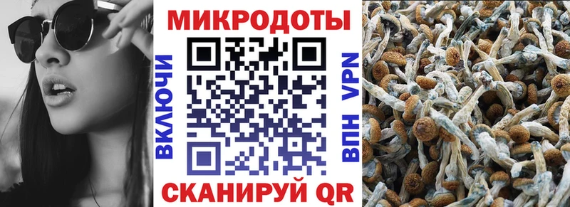 Псилоцибиновые грибы ЛСД  MEGA маркетплейс  Заволжск  где можно купить наркотик 